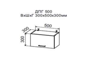 Шкаф верхний ДПГ500 горизонтальный в Арамиле - aramil.магазин96.com | фото
