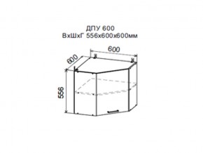 Шкаф верхний ДПУ600 угловой в Арамиле - aramil.магазин96.com | фото